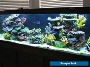 Artificial Coral Aquarium